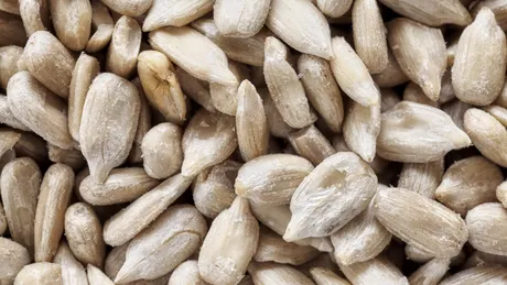 Le ronțăi în neștire, dar au multe calorii care se vor vedea pe cântar. Câte grame de semințe de floarea-soarelui poți mânca fără să te îngrași
