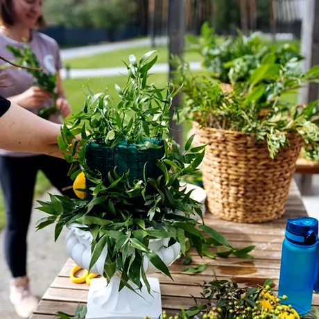 Metoda care ajută plantele să reziste căldurii extreme. Le salvează de la uscare și vor arăta mereu fresh