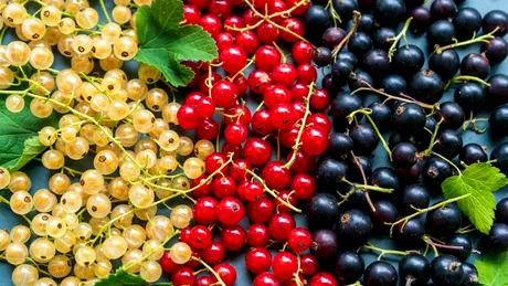 Fructele care scad tensiunea arterială, mai ales la menopauză. Consumă-le mai des!