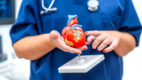 ⁠Testul cu degetul mare care indică rapid riscul de boli de inimă. Cum poți afla dacă ești predispus la anevrismul de aortă