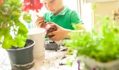 De ce să înveți copiii să cultive plante