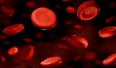 „E incredibil, ca science fiction”: cum imunoterapia schimbă tratamentul cancerului