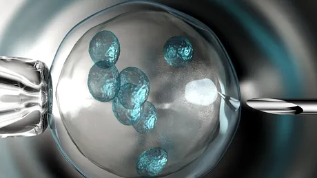 Testele genetice pe embrioni: cum se fac şi cui sunt recomandate