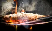Ce simptome ai dacă consumi peștele-iepure? Specia e considerată periculoasă pentru organism