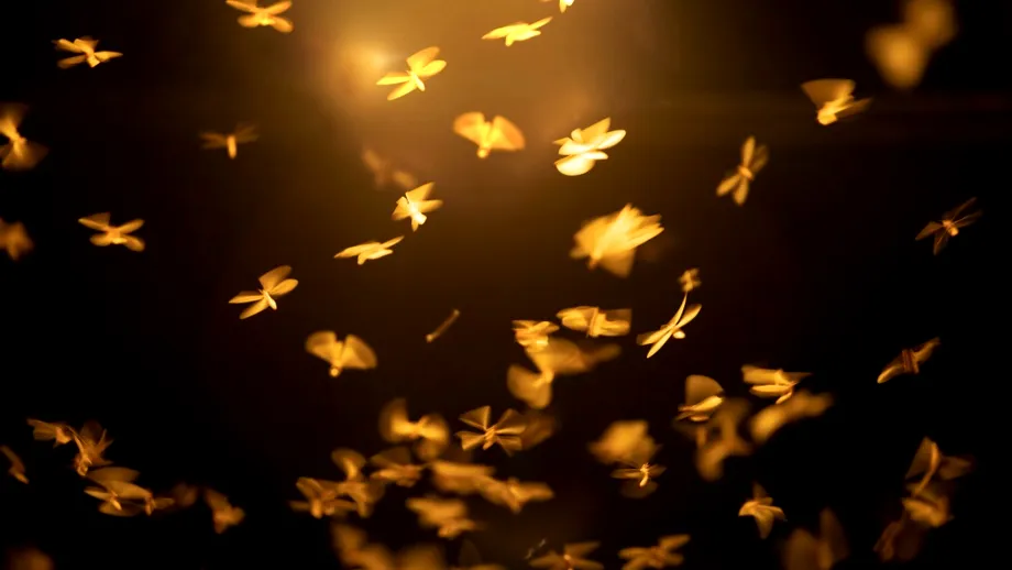 Moliile fug de acest tip de lumină! Schimbarea simplă care îți poate transforma casa într-un loc neatrăgător pentru insecte
