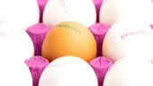 Ouă albe sau maro: care sunt mai bune și ce înseamnă codul de pe ouă?