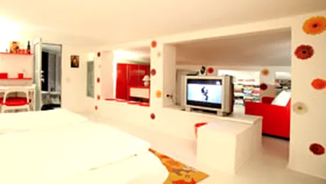 Apartamentul de la mansarda