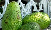 Fructe şi legume exotice cu efecte incredibile asupra sănătăţii