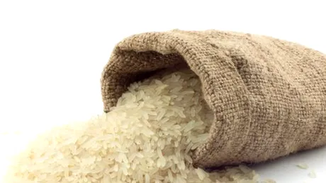 Orezul: beneficii, tipuri de orez, valori nutriționale, rețete cu orez