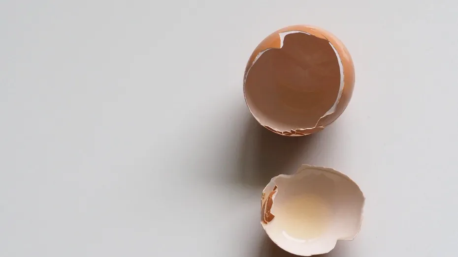 Cojile de ouă, ideale pentru sănătatea oaselor