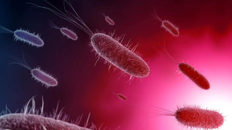 Experții avertizează: crește numărul infecțiilor cu această bacterie rezistentă la medicamente