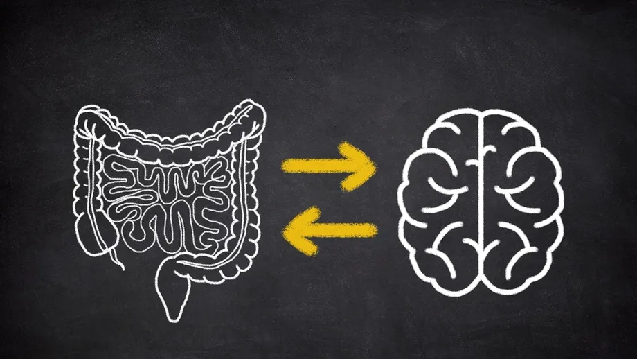 Legătura surprinzătoare dintre ADHD și problemele digestive. Studiul uriaș pe 1,9 milioane de oameni