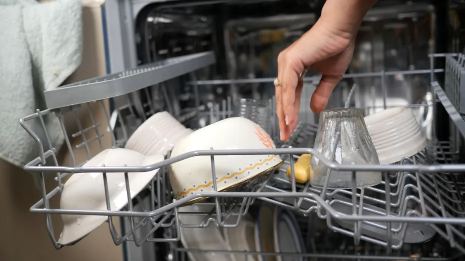 Cum pot ajunge șoarecii în locuință prin mașina de spălat vase? Măsurile prin care poți preveni aceste situații