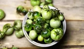 Ai pus gogonele la murat? După câte zile poți deschide borcanele fără să se înmoaie