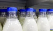 Laptele degresat e mai puțin nutritiv sau e o alegere sănătoasă? 100 ml conține 69-75 calorii
