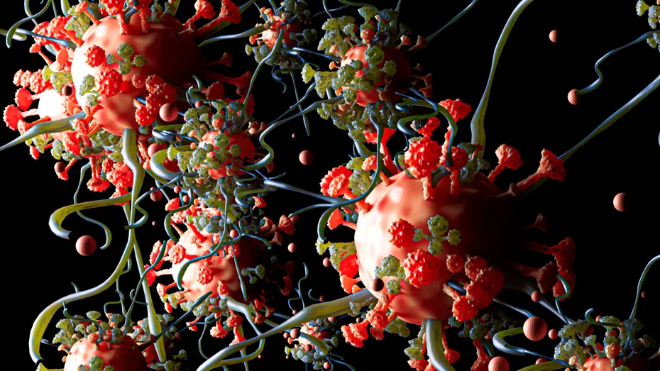 Celulele umane îmbătrânite pot fi „reîncărcate”. O descoperire care ar putea schimba total medicina