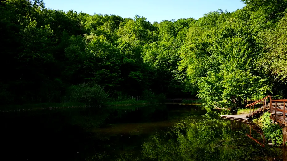 Apa sărată, remediul natural pentru alergii și boli respiratorii