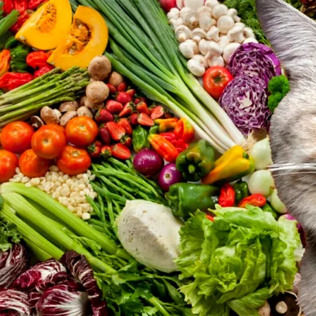 Leguma toxică pentru toate pisicile. Nu îi da să mănânce așa ceva niciodată!