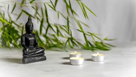 Floarea care poate alunga energiile negative din casă. Nu necesită îngrijire specială