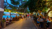 Alimentul preferat de toți turiștii pe litoralul românesc. Nu e deloc scump și se pregătește rapid