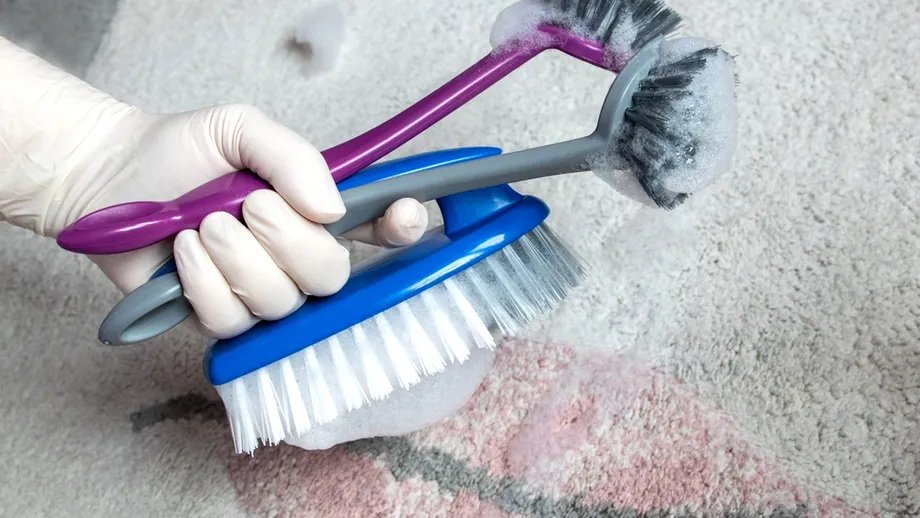 Cum cureți corect mocheta acasă la tine. Sfaturi esențiale pentru a scăpa rapid de pete