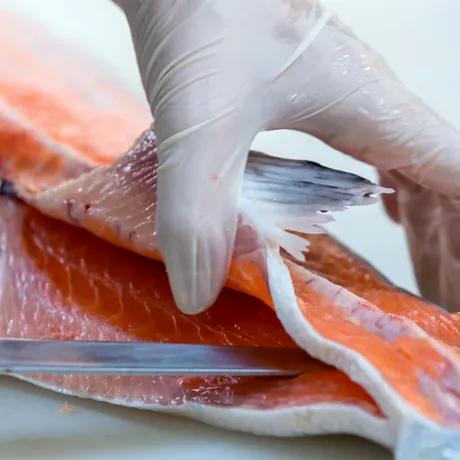 Pericol în Postul Paștelui! Peștele pe care trebuie să-l eviți. Este considerat cel mai toxic din lume și conține peste 70 de paraziți