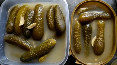 Cum să faci castraveți murați fără să se înmoaie. Trucul pe care puțini îl știu