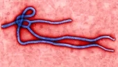 Testul rapid de depistare Ebola nu este un test de excludere!