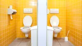 Ce boli poţi lua din toaletele publice