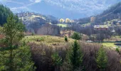 „Zona albastră” a României. Satul unde oamenii trăiesc peste 100 de ani, nu merg la medic și mănâncă ce vor