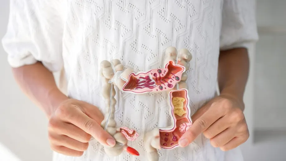 Microbiomul intestinal ar putea fi „contagios”. Bacteriile din intestin se pot transmite între oameni