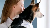Totul despre terapia cu animale. Cum pot acestea ajuta la vindecarea trupului și a minții