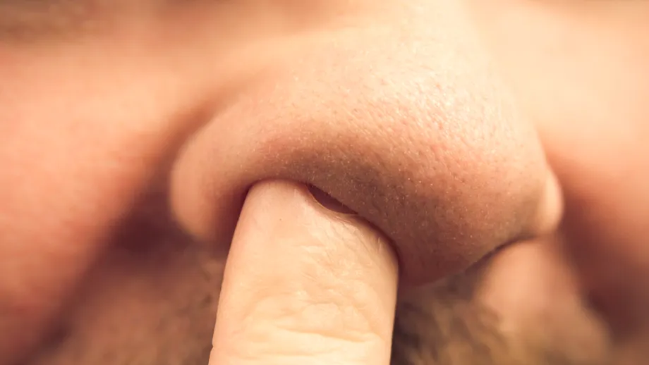 Scobitul în nas ar putea avea o legătură surprinzătoare cu Alzheimer – ce arată un studiu pe șoareci