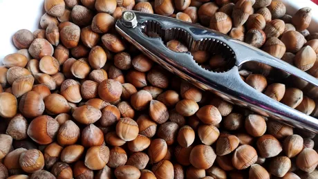 Top 3 motive pentru care alunele de pădure trebuie păstrate în coajă