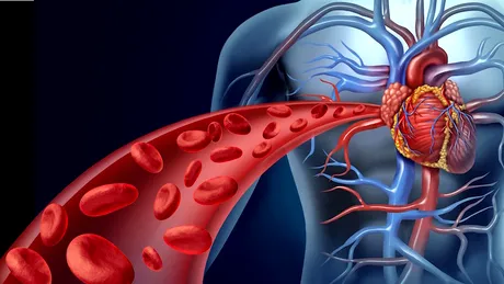 Dr. Antoanela Curici: despre colesterol, trigliceride şi markeri cardiaci VIDEO BY CSID