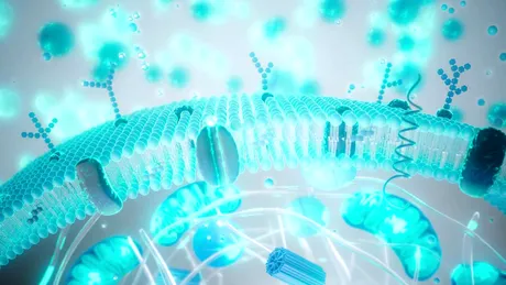 Balonare, greață, reflux după Paște? Ghid rapid de revenire digestivă