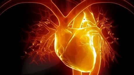Palpitatiile cardiace: simptome, tratament