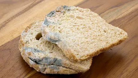 Singura metodă care menține pâinea proaspătă și fără mucegai. Cum trebuie depozitată