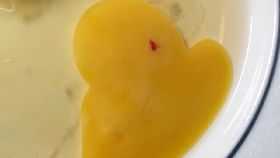 Ce înseamnă, de fapt, urmele de sânge din ou. E bine sau nu să-l mănânci?