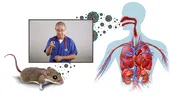 Hantavirusul, virusul transmis de rozătoare care îngrijorează Europa. Medicul Tudor Ciuhodaru explică simptomele și când trebuie să ajungi urgent la spital