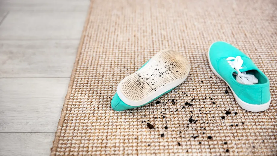 De ce nu e bine să mergi încălțat prin casă. Obiecte din casă pe care le transformi în „rezervoare” de germeni