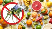 Fructul ieftin care te scapă definitiv de țânțari. Costă doar 2 lei și se găsește în toate supermarketurile românești