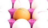 Ouă albe sau maro: care sunt mai bune și ce înseamnă codul de pe ouă?