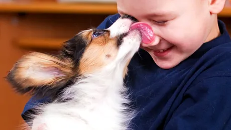 Când linsul devine mai mult decât un gest de afecțiune! Ce spune comportamentul animalului tău