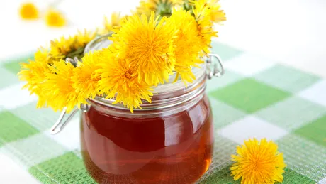 Cura cu sirop de păpădie: beneficii, rețetă, mod de administrare