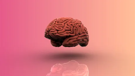 Știați că ideea că ne folosim doar 10% din creier e un mit?