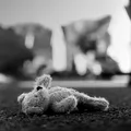 Trei frați, dintre care doi gemeni de doar un an, au ajuns în grija statului. Părinții au renunțat la ei, iar rudele nu îi pot prelua