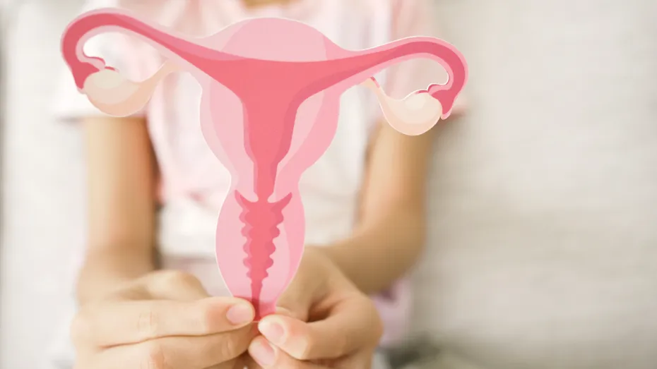 A crezut că suferă de endometrioză, dar diagnosticul a fost cumplit. O femeie de 42 de ani a rămas fără nouă organe