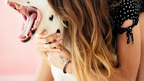 Cum să-ți faci animalul de companie fericit