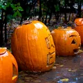 Halloween: de unde vine sărbătoarea și cum au apărut tradițiile pe care le iubim astăzi